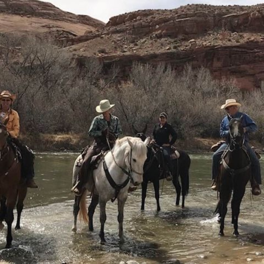 Meet your Posher, Lynda